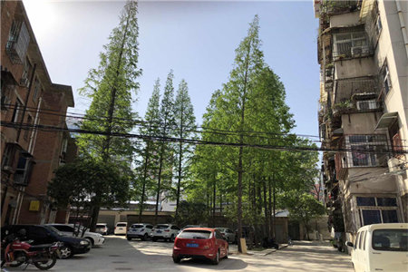 城北春风海棠3室2厅2卫127万120m2出售